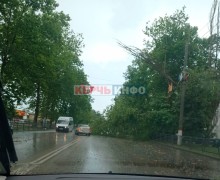    В Керчи шквальный ветер повалил деревья на дороги