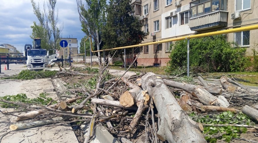 Благоустройство по-керченски: на автовокзале срубили здоровье деревья