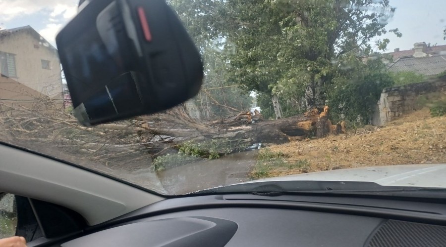   В Керчи шквальный ветер повалил деревья на дороги